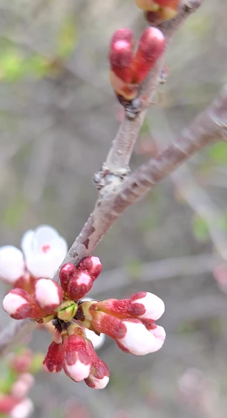 Фото путешественника — 5