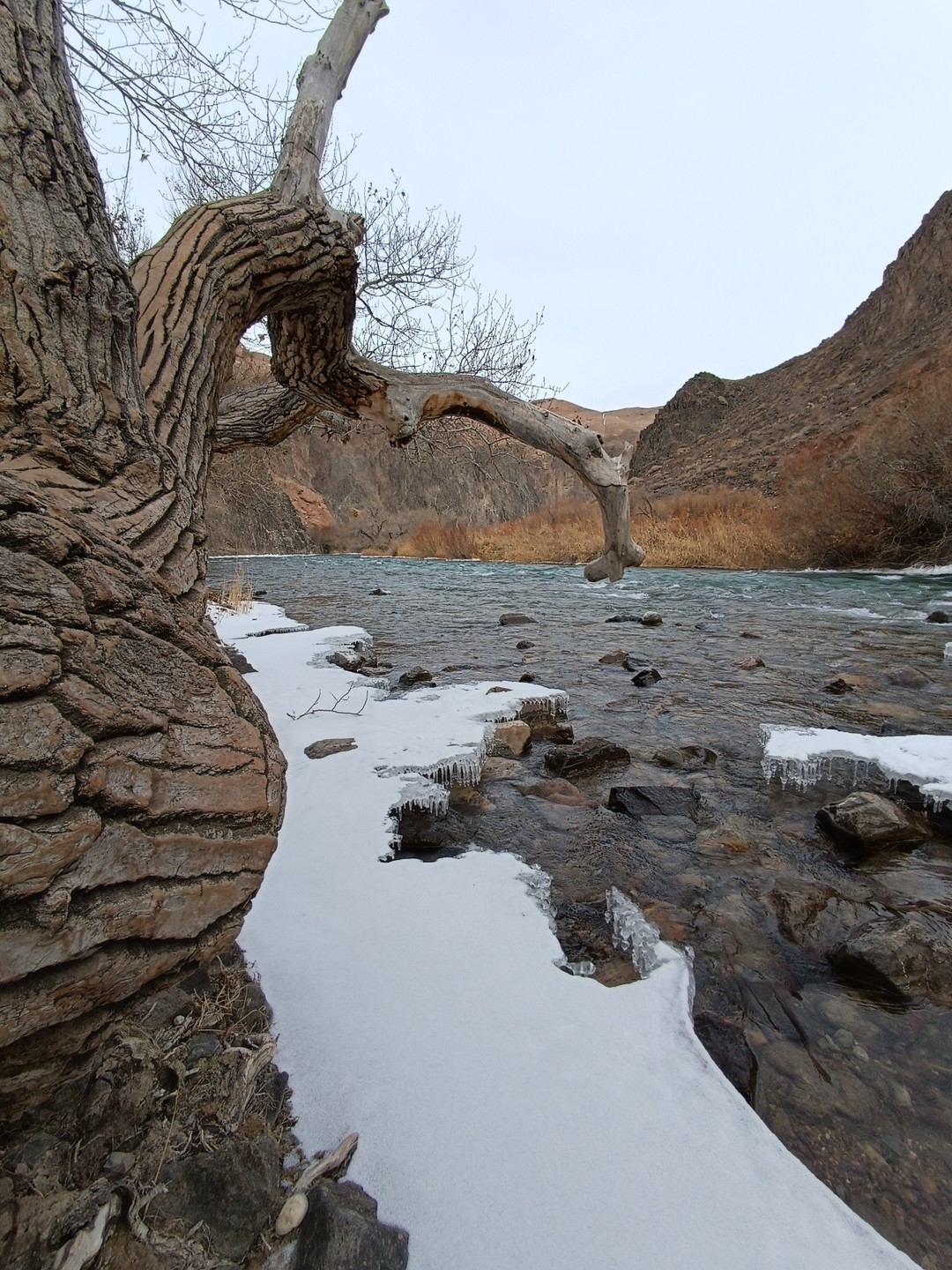 Отзыв о экскурсии "Природа Казахстана: 5 лучших мест за 1 день из Алматы" — фото 2