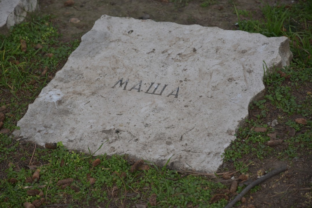 Отзыв о экскурсии "Последнее пристанище белоэмигрантов" — фото 3