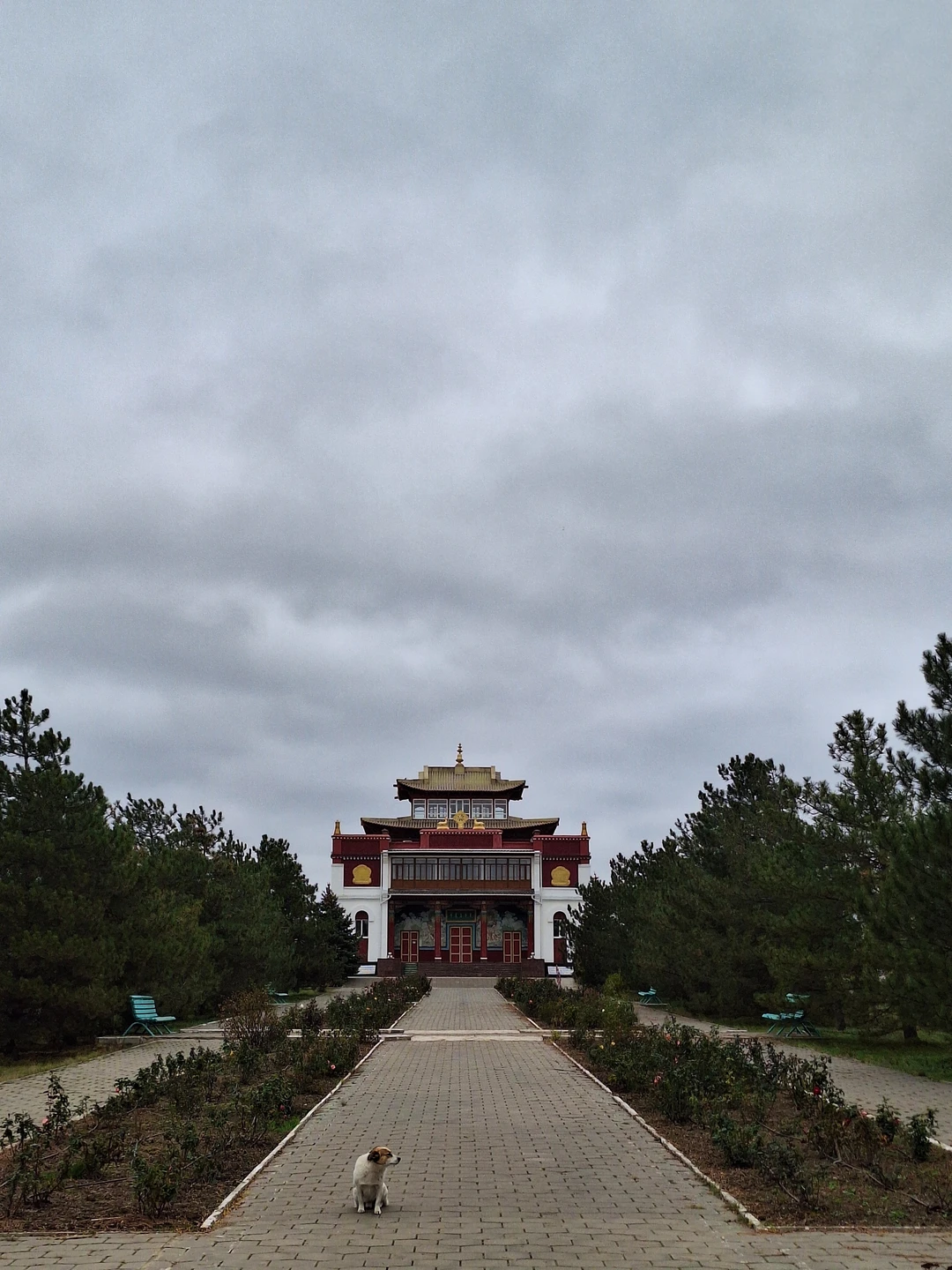 Отзыв о экскурсии "Элиста — открыть древнюю и загадочную Калмыкию" — фото 5