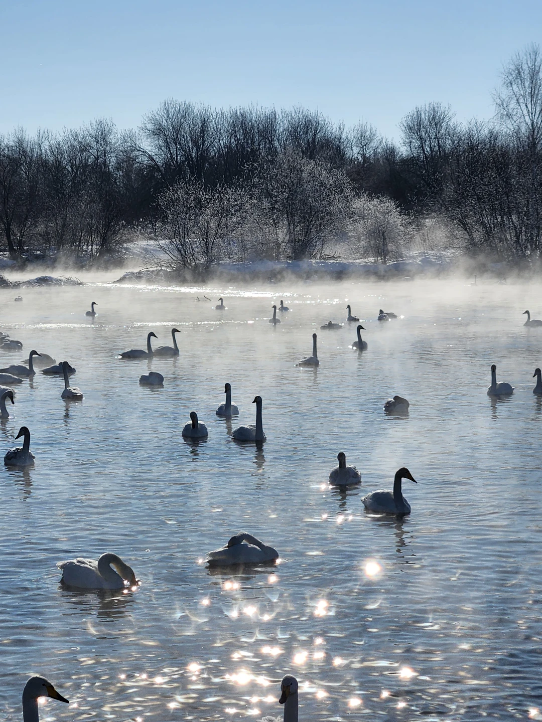 Фото путешественника — 3