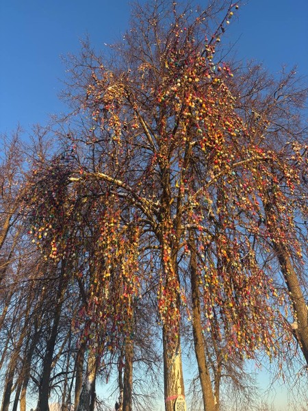 Отзыв о экскурсии "Сокровища Владимира: белокаменное зодчество и фрески Рублёва" — фото 8
