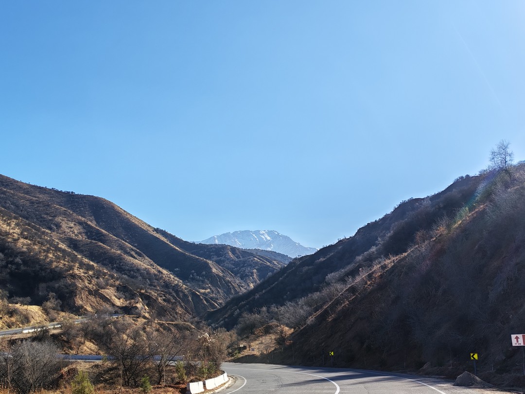 Отзыв о экскурсии "Из Ташкента — к величественным Чимганским горам!" — фото 2