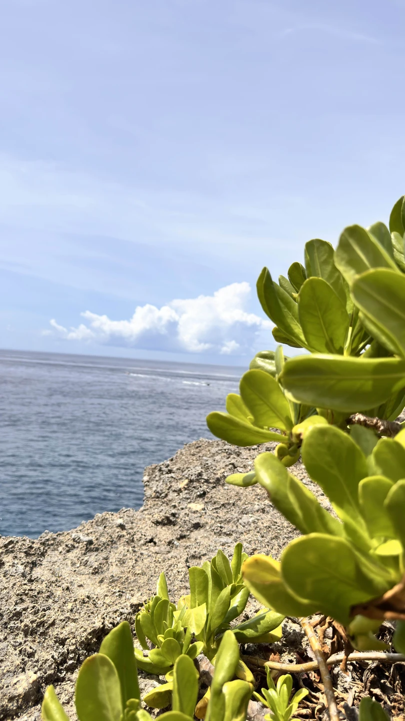 Отзыв о экскурсии "Топ-5 локаций Нуса Пениды" — фото 5