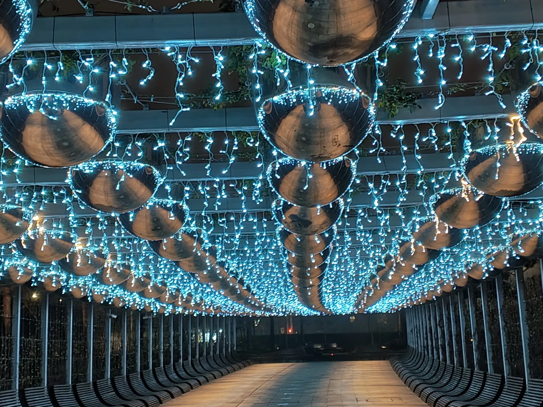 Отзыв о экскурсии "По Краснодару и парку Галицкого (пешком и на машине)" — фото 5