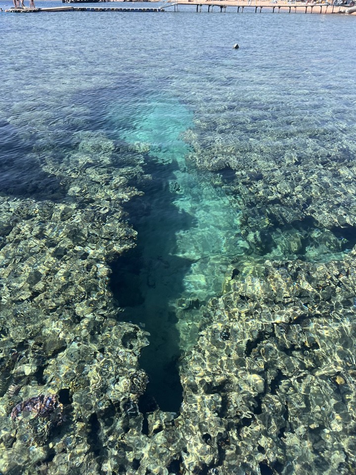 Фото путешественника — 7