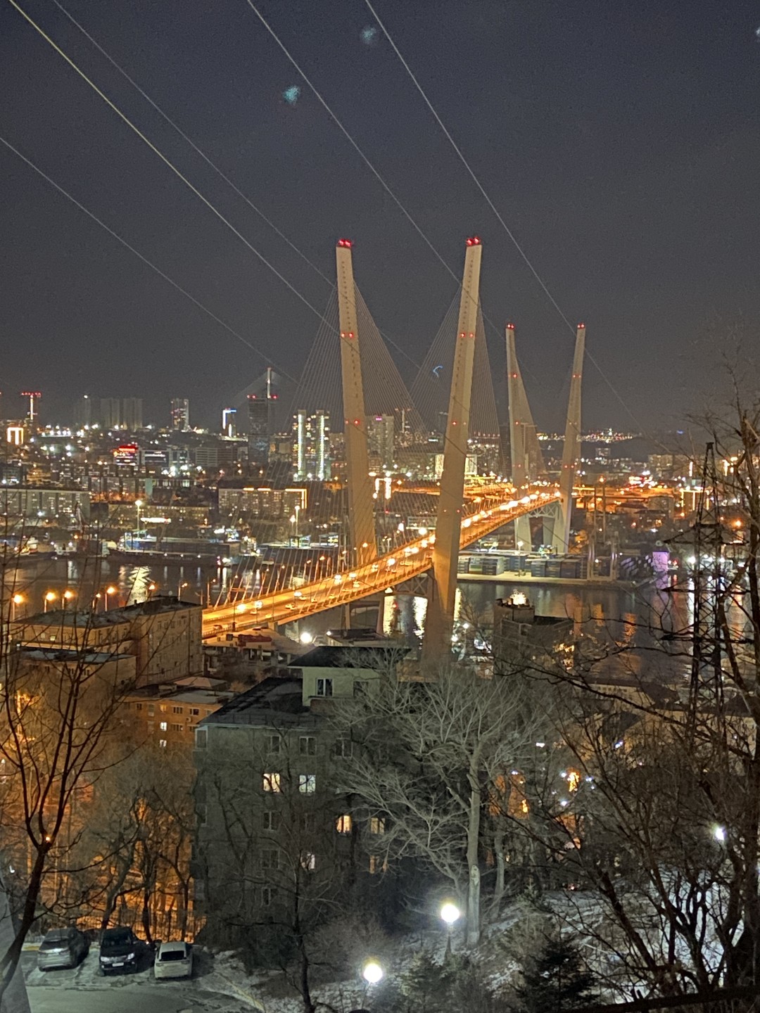 Отзыв о экскурсии "Ночные огни Владивостока (в группе)" — фото 1