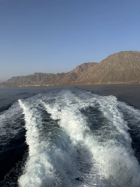 Отзыв о экскурсии "Иордания и древняя Петра: групповая экскурсия" — фото 3