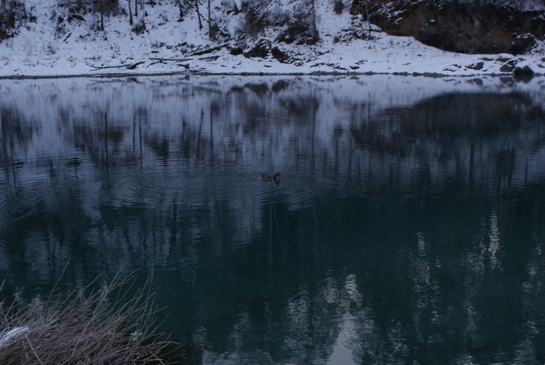 Отзыв о экскурсии "Долина Катуни — в гости к госпоже Горного Алтая" — фото 7