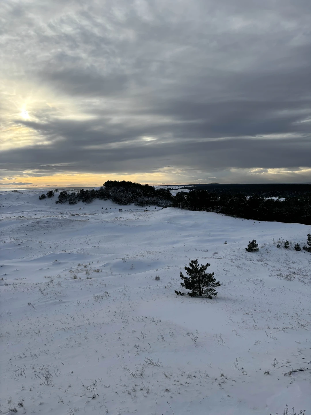 Отзыв о экскурсии "Утренняя Куршская коса из Зеленоградска на автобусе" — фото 4