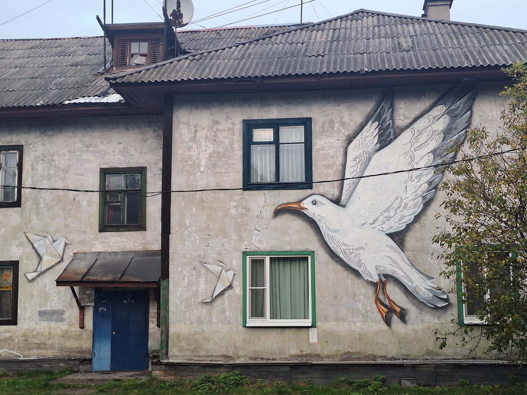 Отзыв о экскурсии "От Белого моря до Баренцева: треккинги и автопрогулки" — фото 5