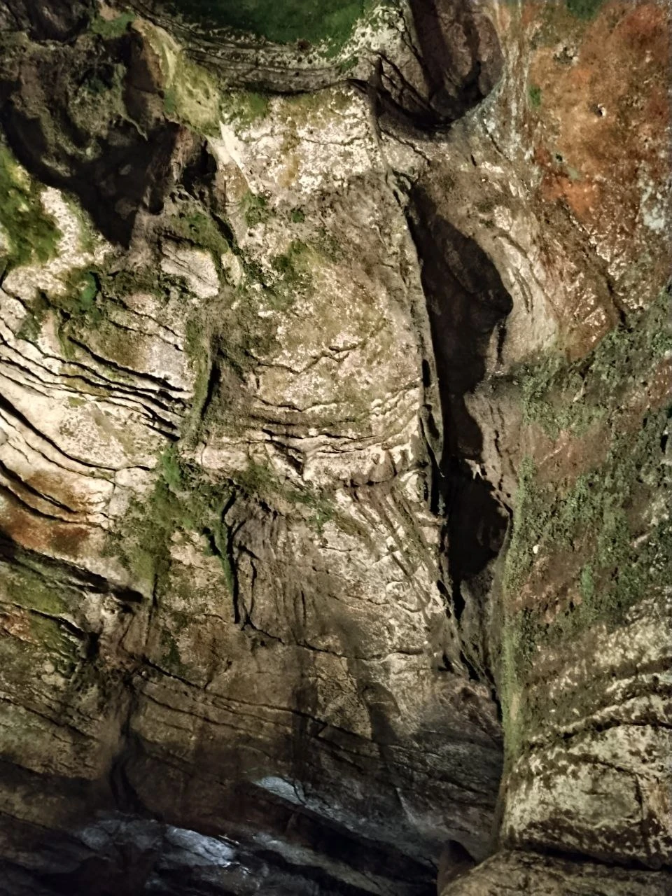 Отзыв о экскурсии "Поедем, поедим! Гастротур из Адлера" — фото 1