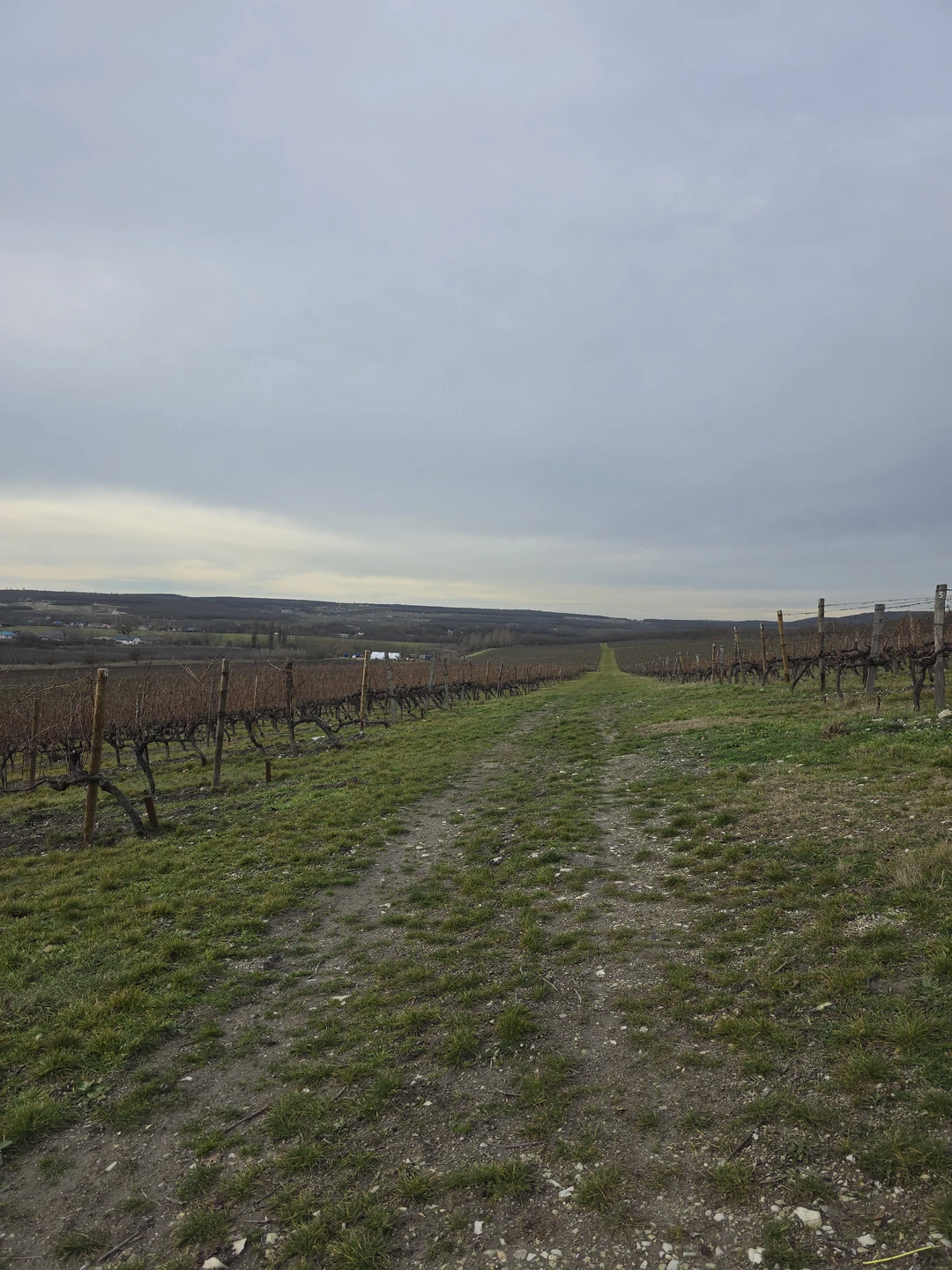 Отзыв о экскурсии "Винные открытия: Скалистый берег, Шумринка и Гай-Кодзор" — фото 1