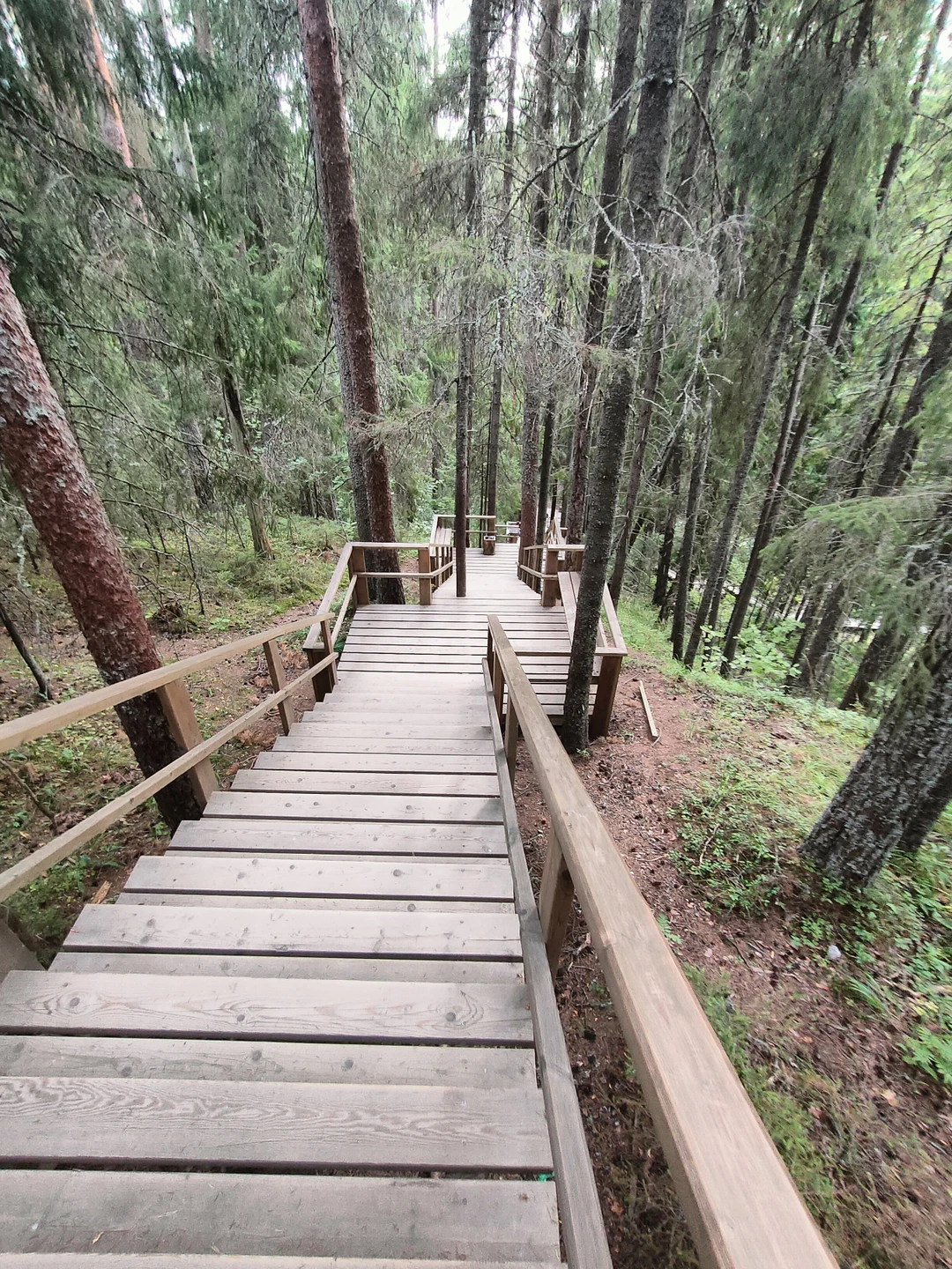 Отзыв о экскурсии "Автотур по Карелии: топовые и секретные места, эксклюзивные отели и норвежские пейзажи" — фото 8