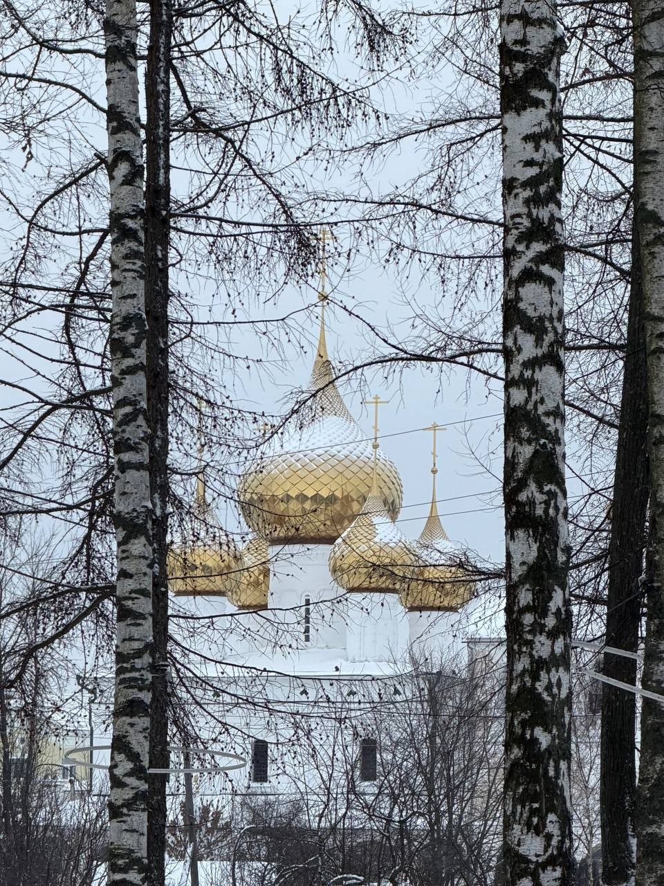 Отзыв о экскурсии "Сюжеты Углича" — фото 4