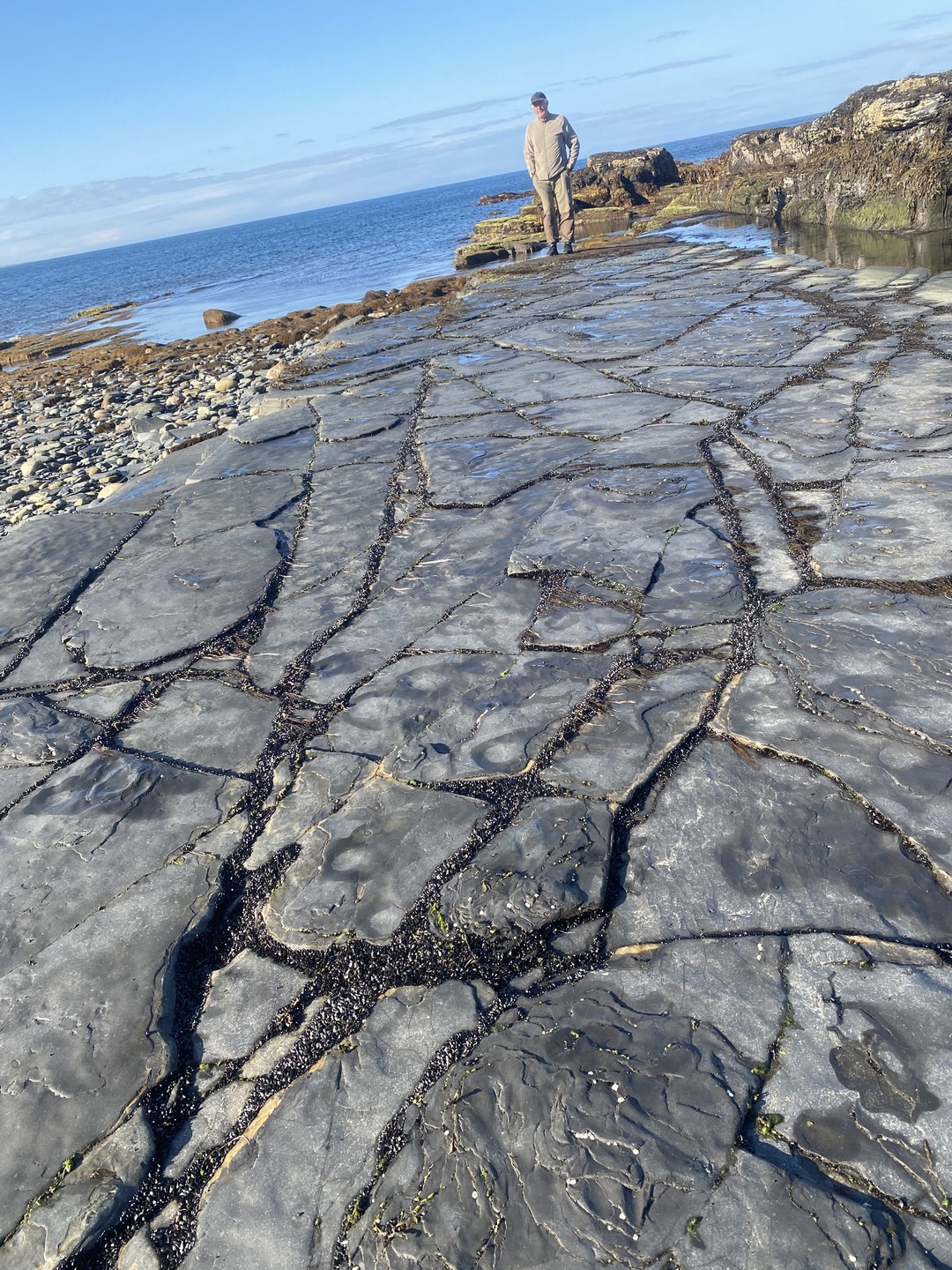 Отзыв о экскурсии "Заповедная территория: к океану на гигантской машине с проживанием в кемпинге" — фото 7