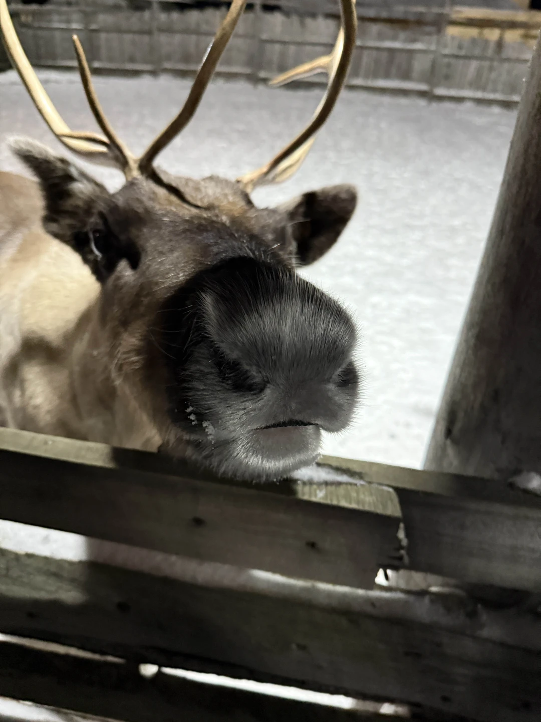 Фото путешественника — 3