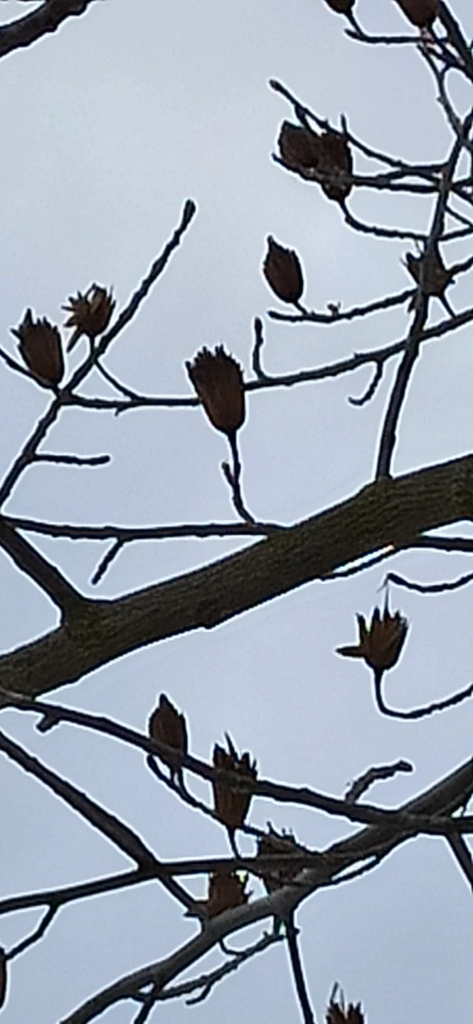 Отзыв о экскурсии "По Краснодару и парку Галицкого (пешком и на машине)" — фото 2