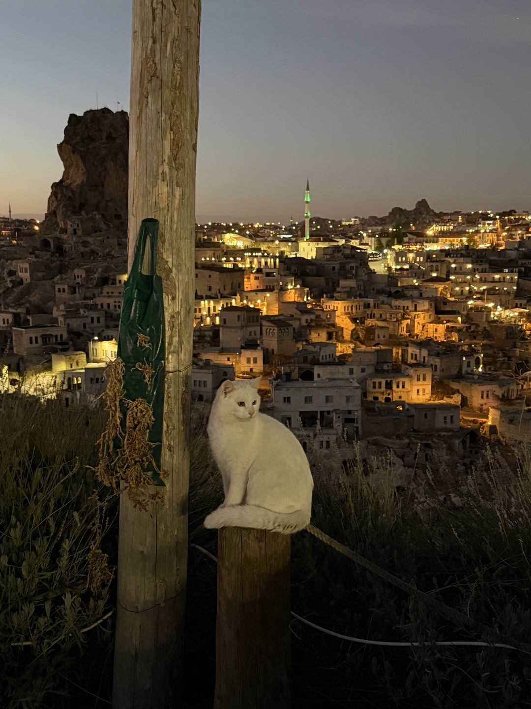 Фото путешественника — 7