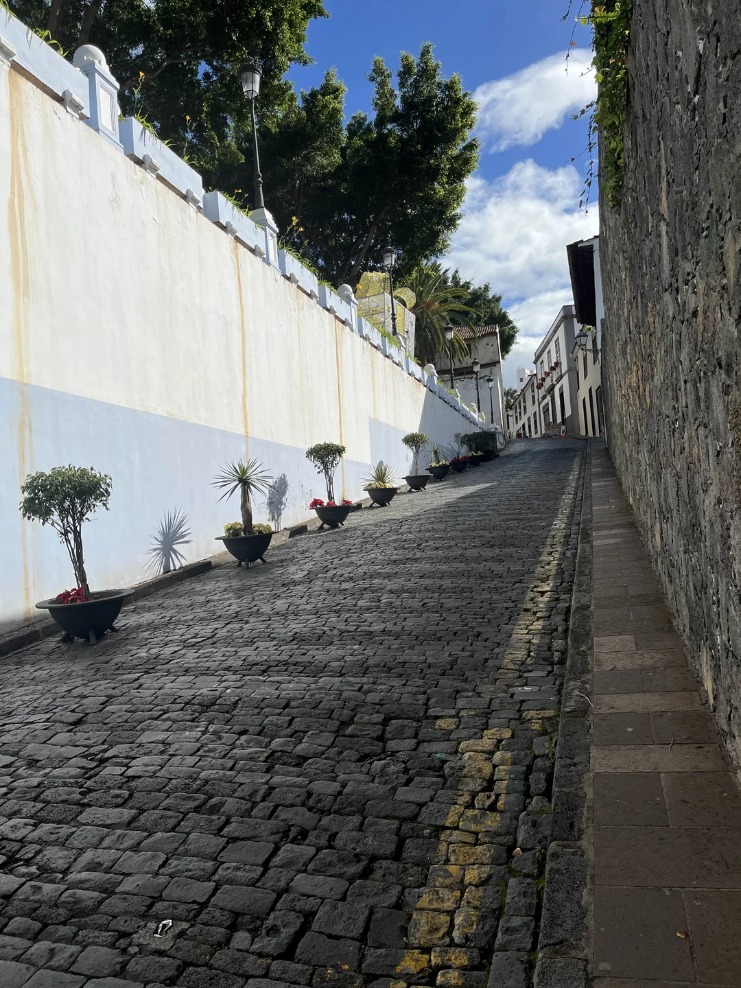 Отзыв о экскурсии "Вокруг острова за один день" — фото 4