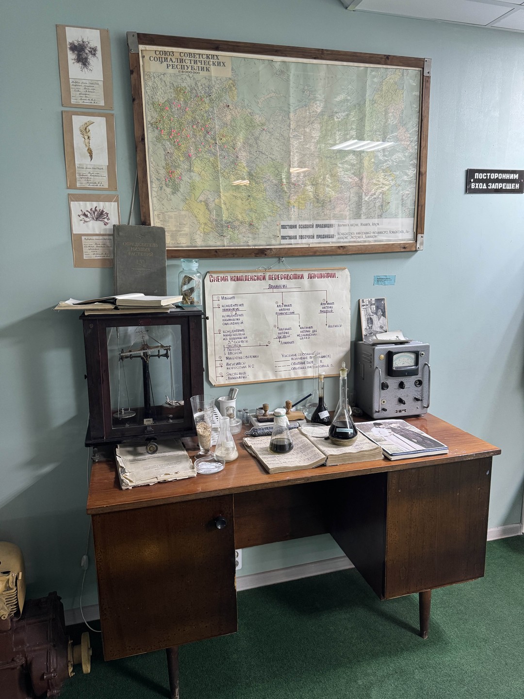 Отзыв о экскурсии "Музей Архангельского водорослевого комбината" — фото 4