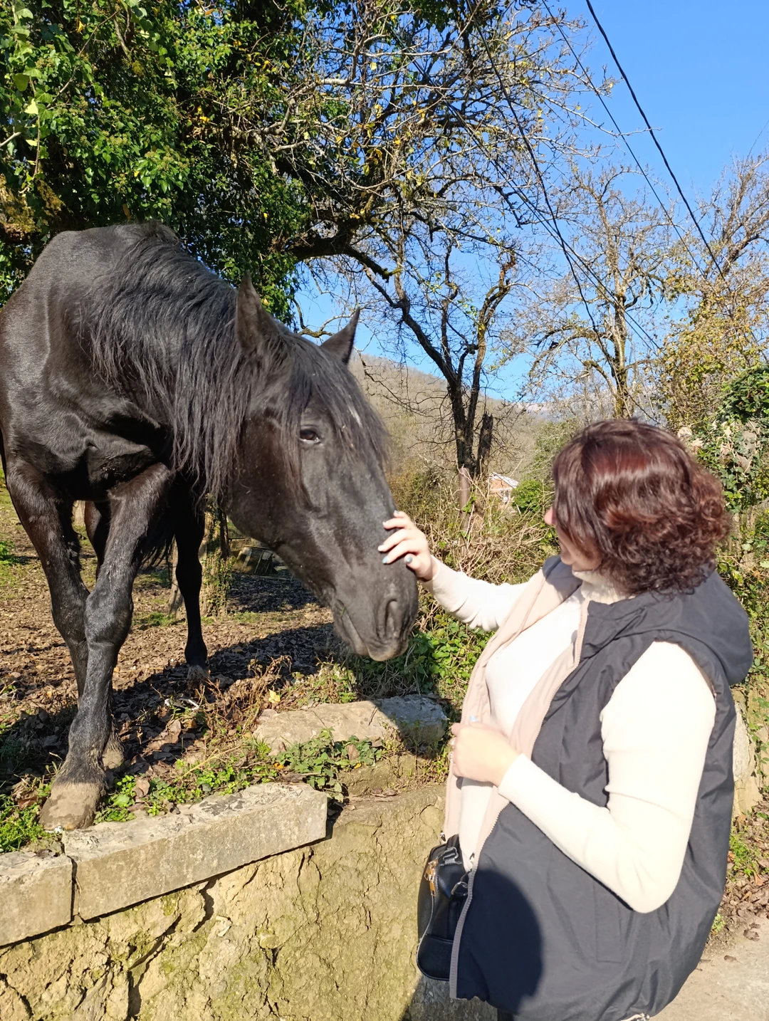 Отзыв о экскурсии "Групповая экскурсия на встречу с Рицей" — фото 5