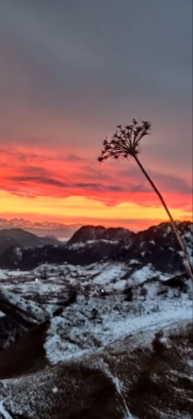 Отзыв о экскурсии "Из Ессентуков — в великолепный Домбай!" — фото 1