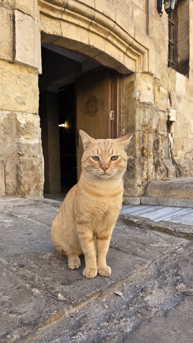 Фото путешественника — 4