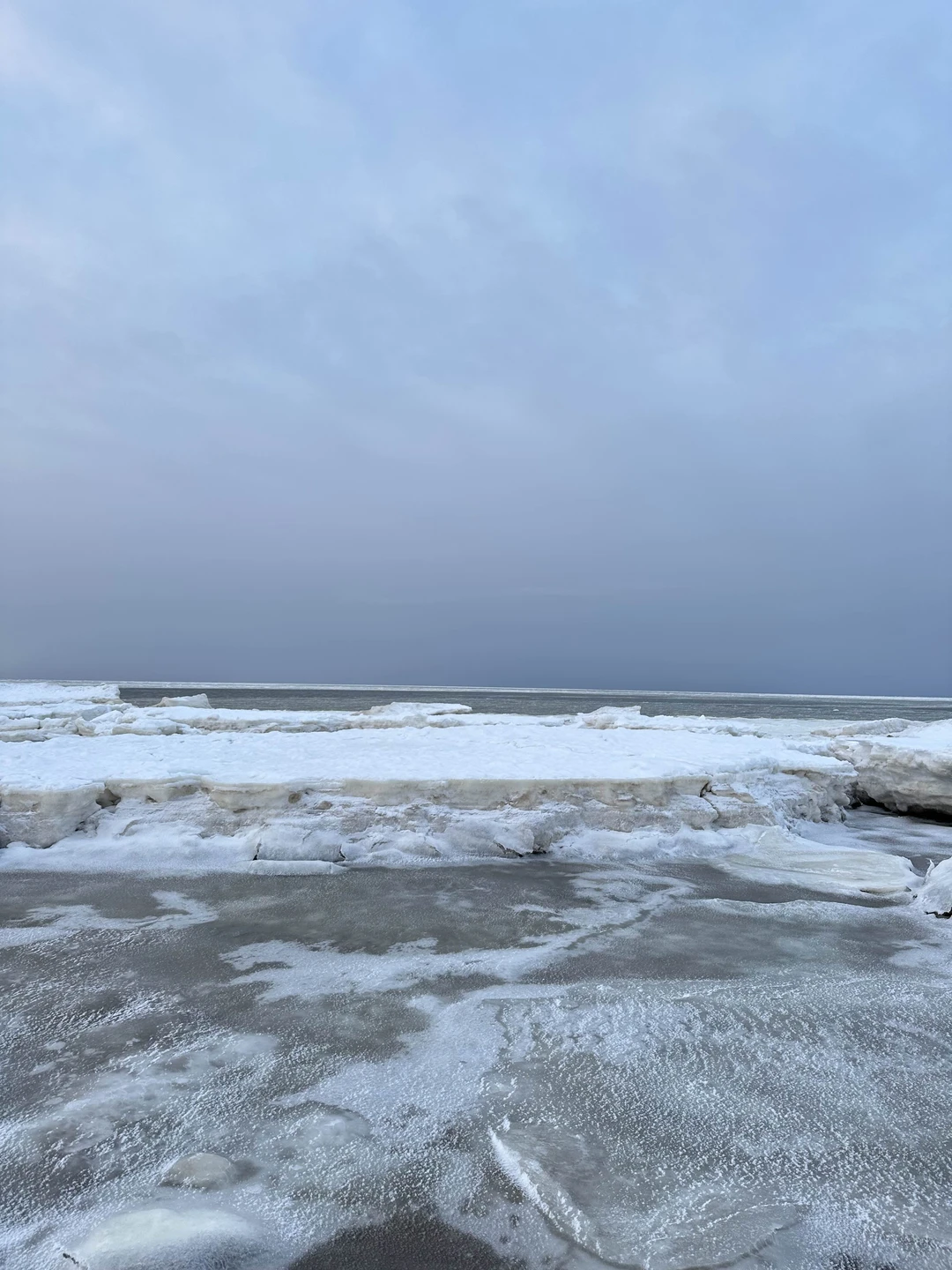 Отзыв о экскурсии "К Белому морю на остров Ягры" — фото 2