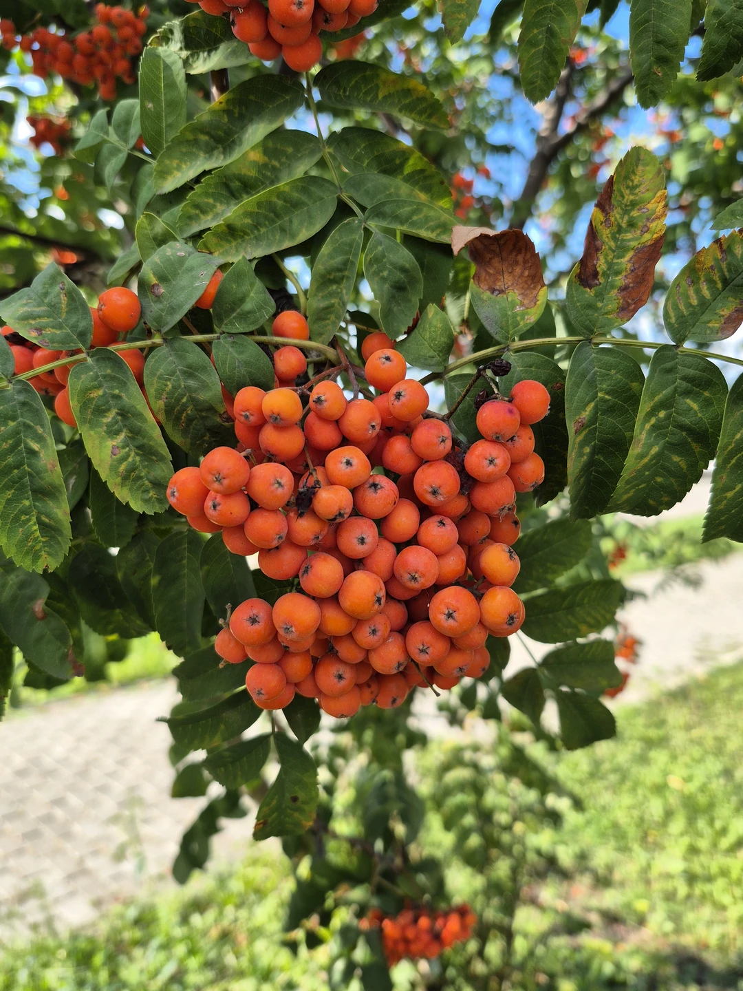 Отзыв о экскурсии "Самарский вайб: память, парадоксы, притяжение" — фото 4