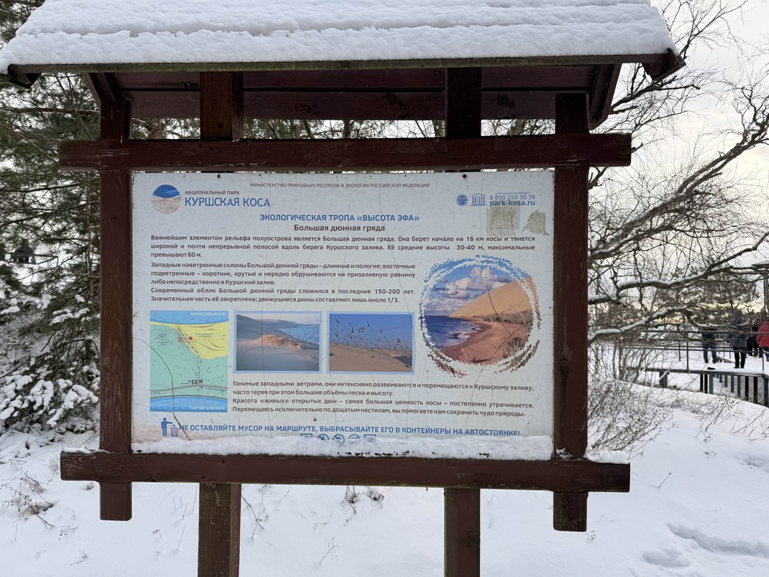 Отзывы об экскурсиях в Зеленоградске