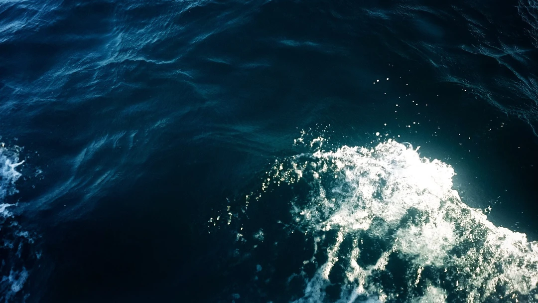 Отзыв о экскурсии "К дикому пляжу под парусами" — фото 7