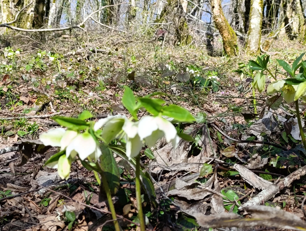 Фото путешественника — 5