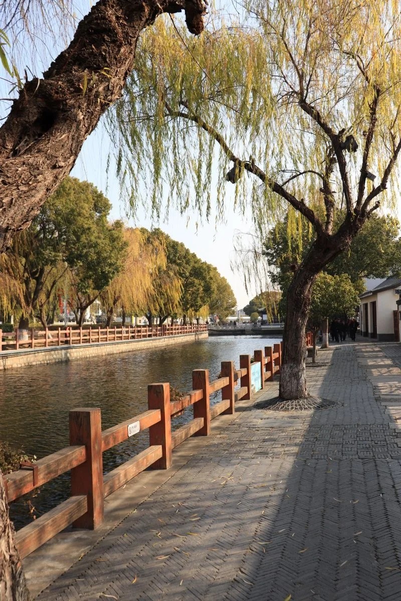 Отзыв о экскурсии "Древний китайский город на воде — Чжуцзяцзяо" — фото 6