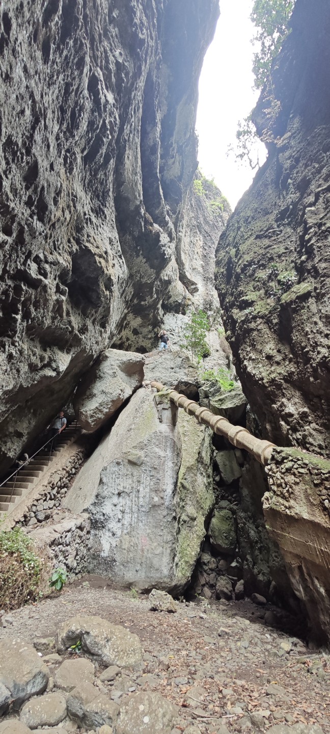 Отзыв о экскурсии "Сквозь джунгли Тенерифе к секретным водопадам" — фото 6