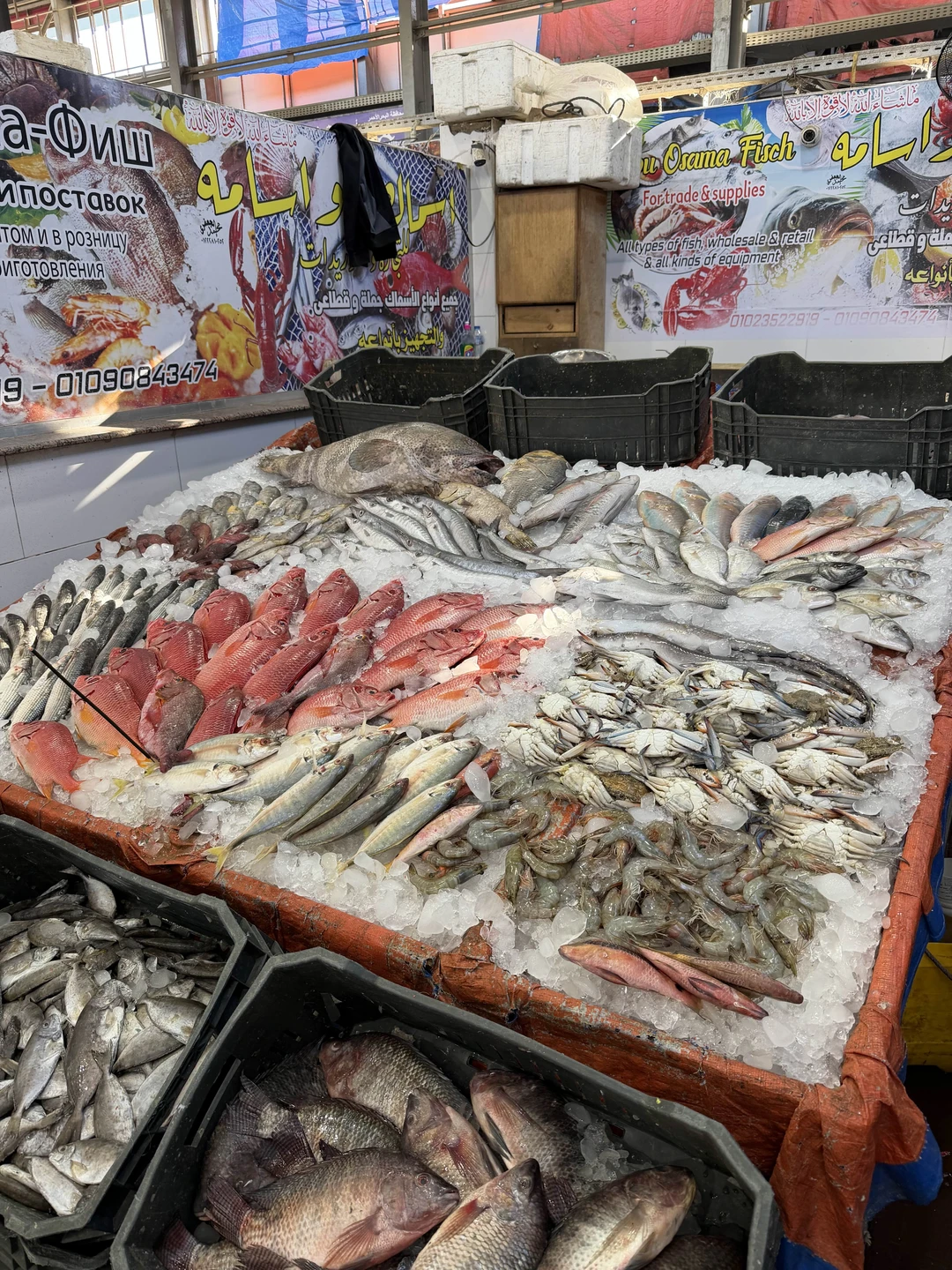 Отзыв о экскурсии "От рыбацкого посёлка до туристического курорта: обзорная экскурсия по Хургаде" — фото 3