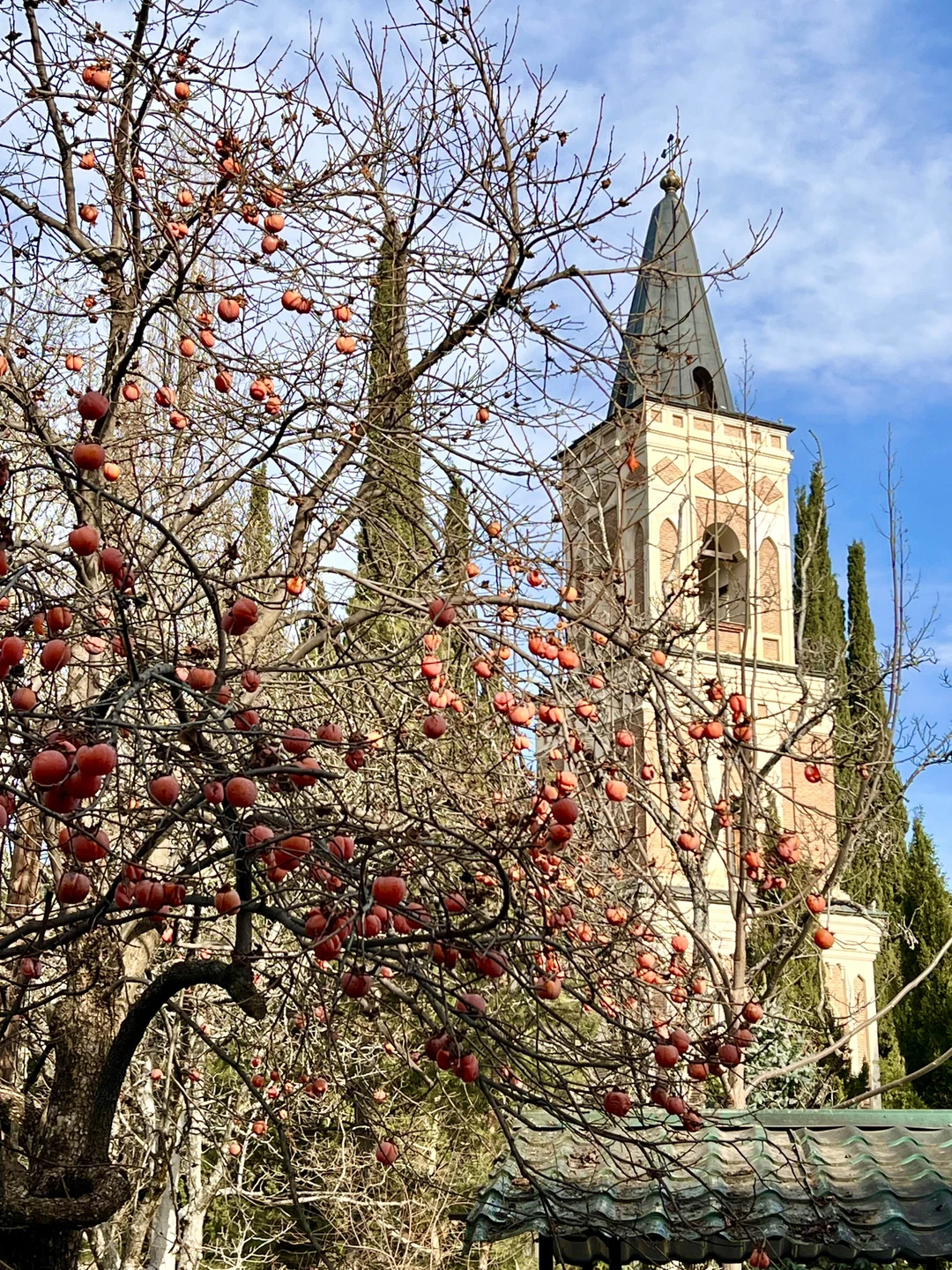 Отзыв о экскурсии "Групповая поездка в Кахетию: Бодбе, Сигнахи и Цинандали" — фото 2