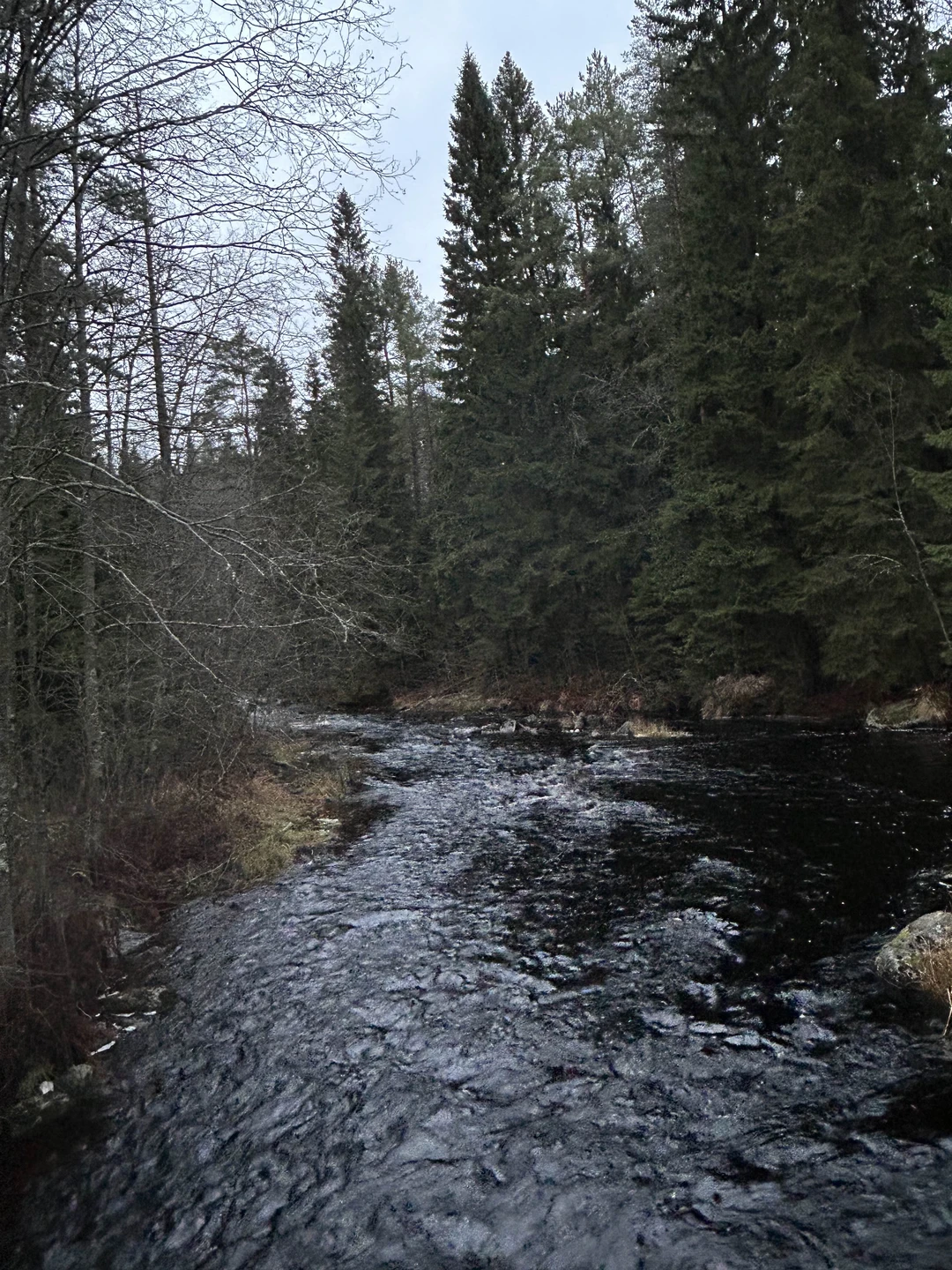 Отзыв о экскурсии "Ладожские шхеры и водопады Карелии за один день" — фото 5