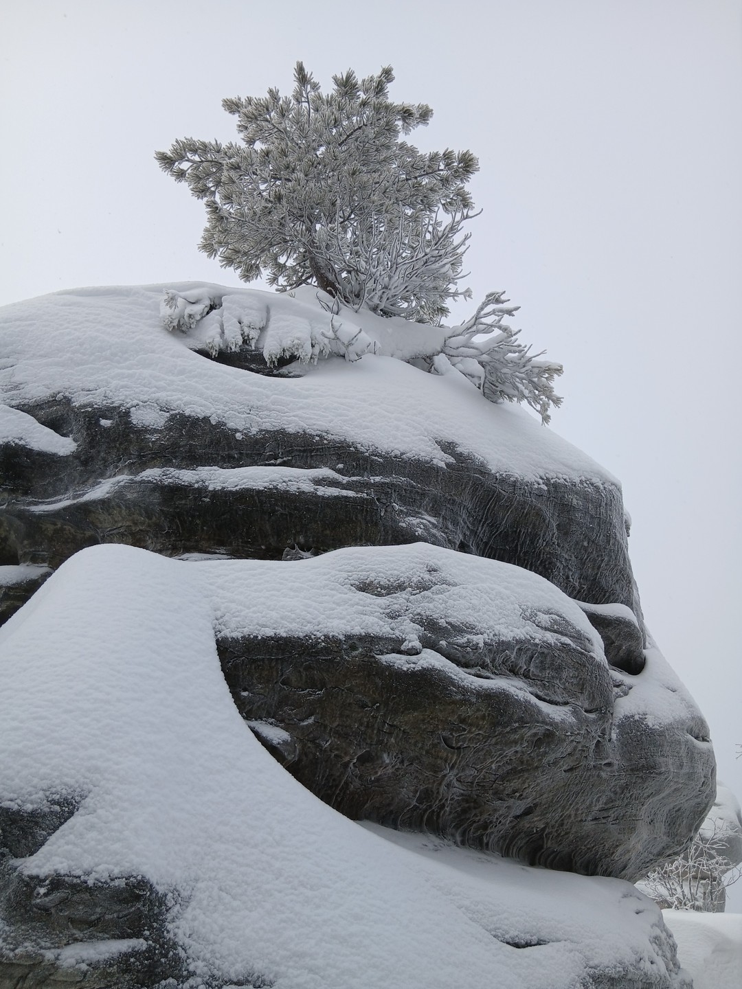 Отзыв о экскурсии "Экскурсия по местам съемок фильма «Сердце пармы»" — фото 4