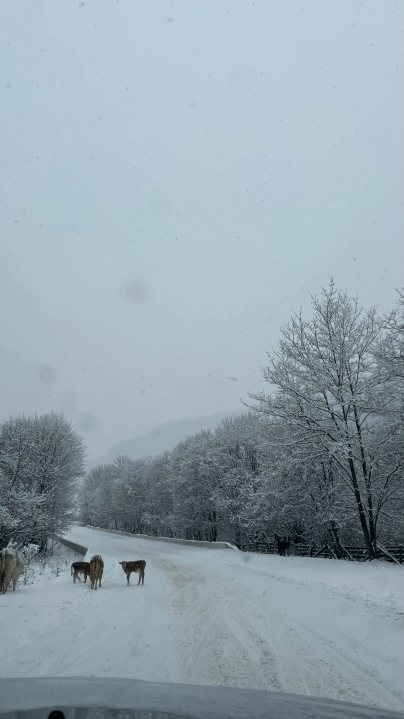 Фото путешественника — 7