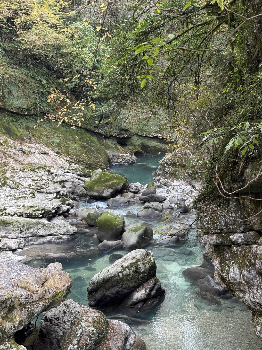 Отзыв о экскурсии "Из Кутаиси — в каньоны и пещеры западной Грузии" — фото 8