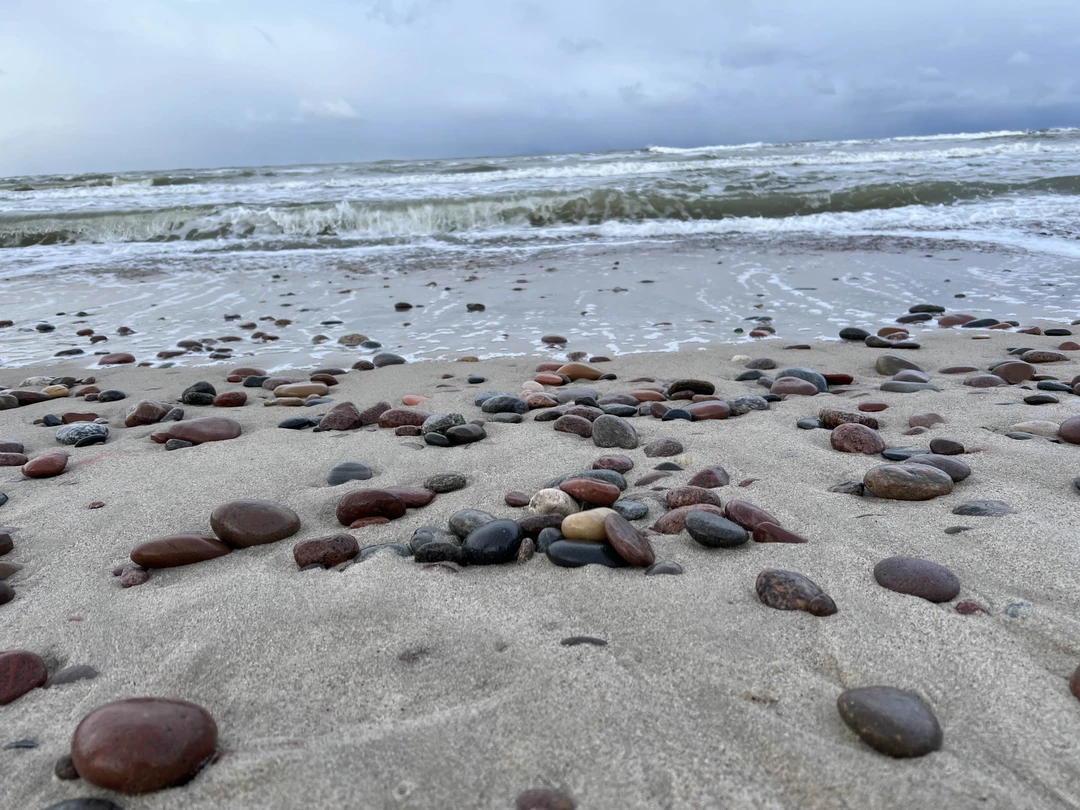 Отзыв о экскурсии "Первый раз на Куршской косе — из Зеленоградска" — фото 6