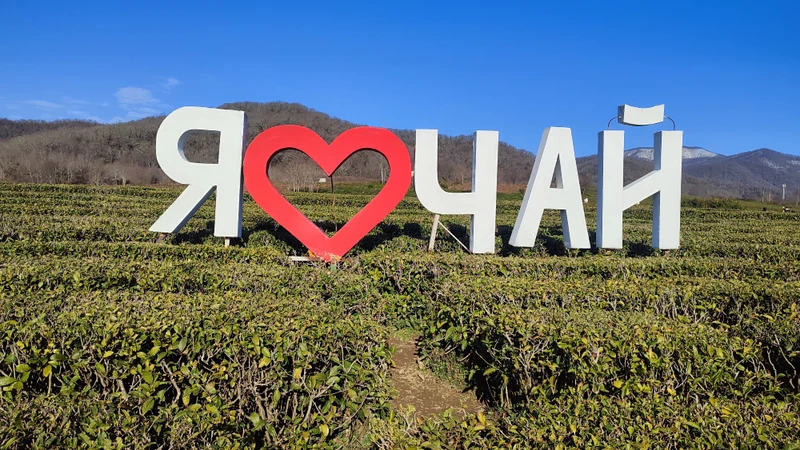 Отзыв о экскурсии "2 в 1 из Сочи: долина реки Шахе + кавказское застолье" — фото 3