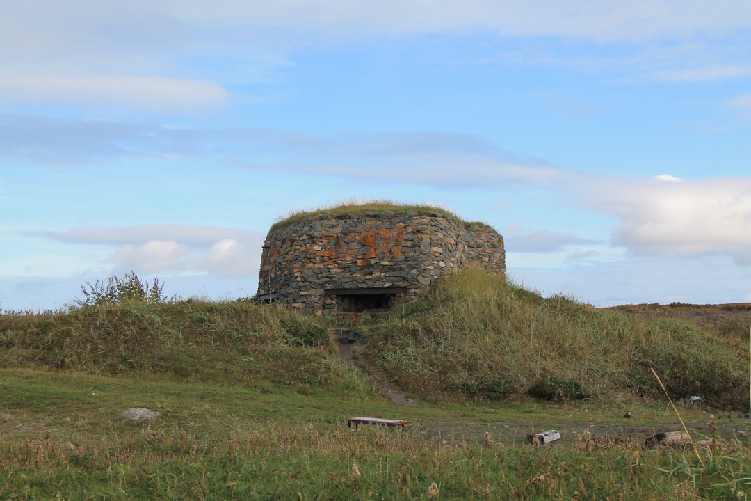 Отзыв о экскурсии "Заповедная территория: к океану на гигантской машине с проживанием в кемпинге" — фото 8