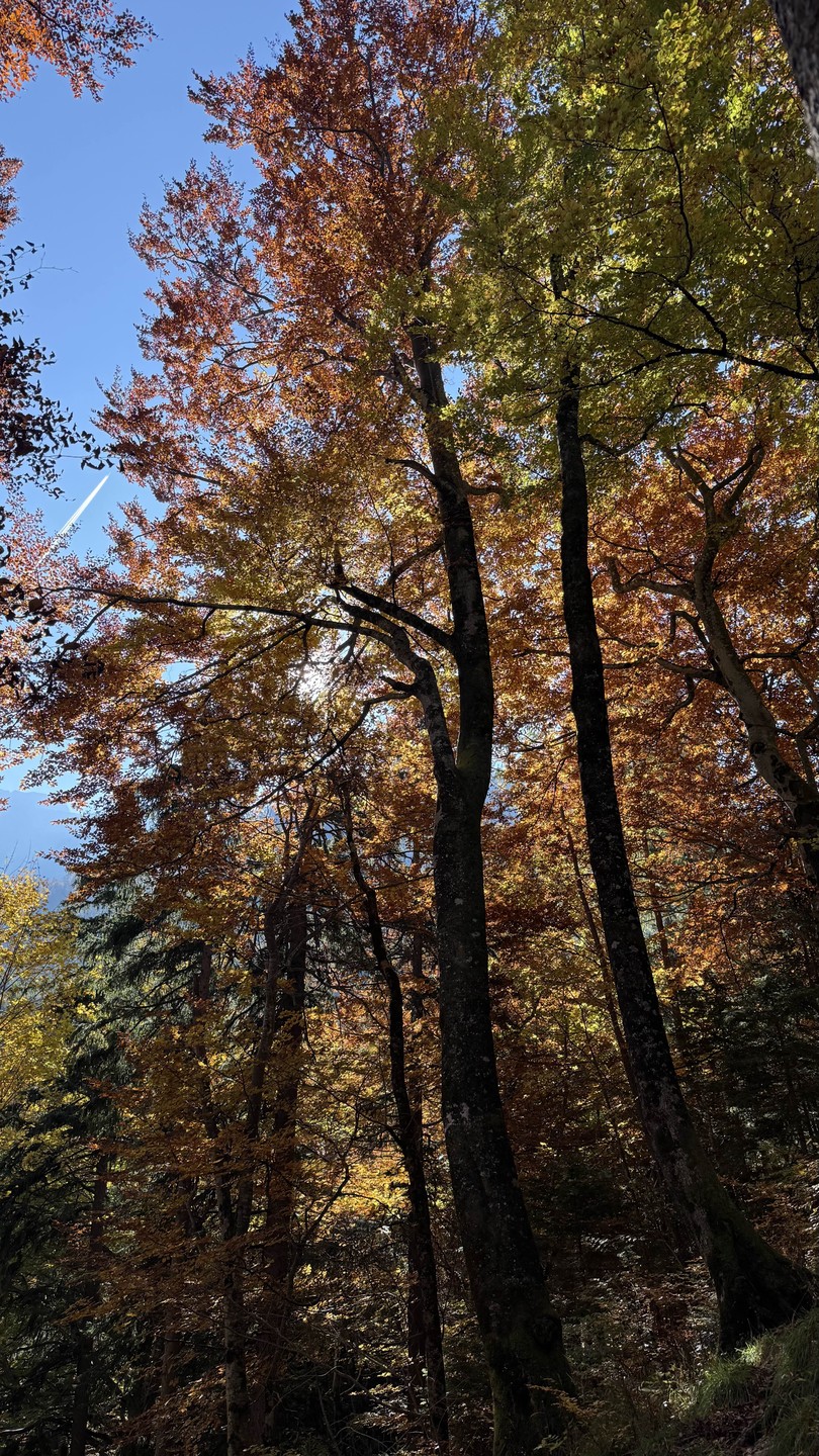 Фото путешественника — 7 Фото путешественника — 7