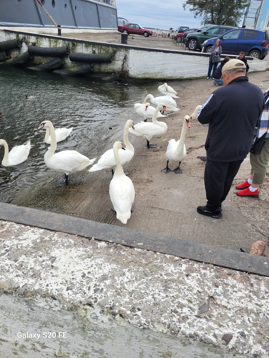 Отзыв о экскурсии "Заплетала море в косы: большое путешествие по Балтике" — фото 6