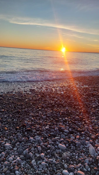 Отзыв о экскурсии "Охотники за мандаринами" — фото 6