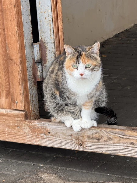 Фото путешественника — 4