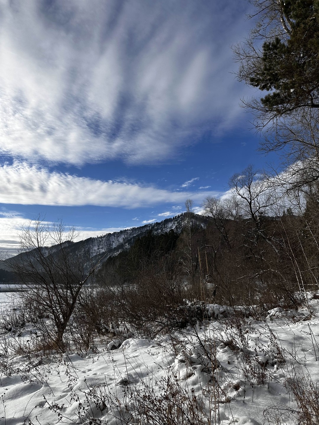 Отзыв о экскурсии "Камышлинский водопад и зубровый питомник" — фото 1