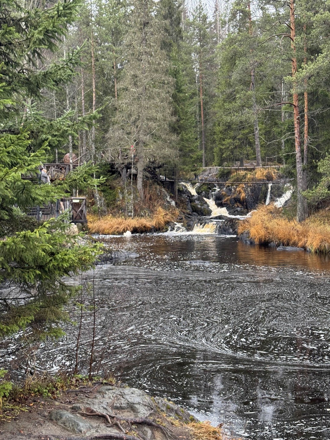 Отзыв о экскурсии "Южная Карелия: Рускела и окрестности" — фото 7
